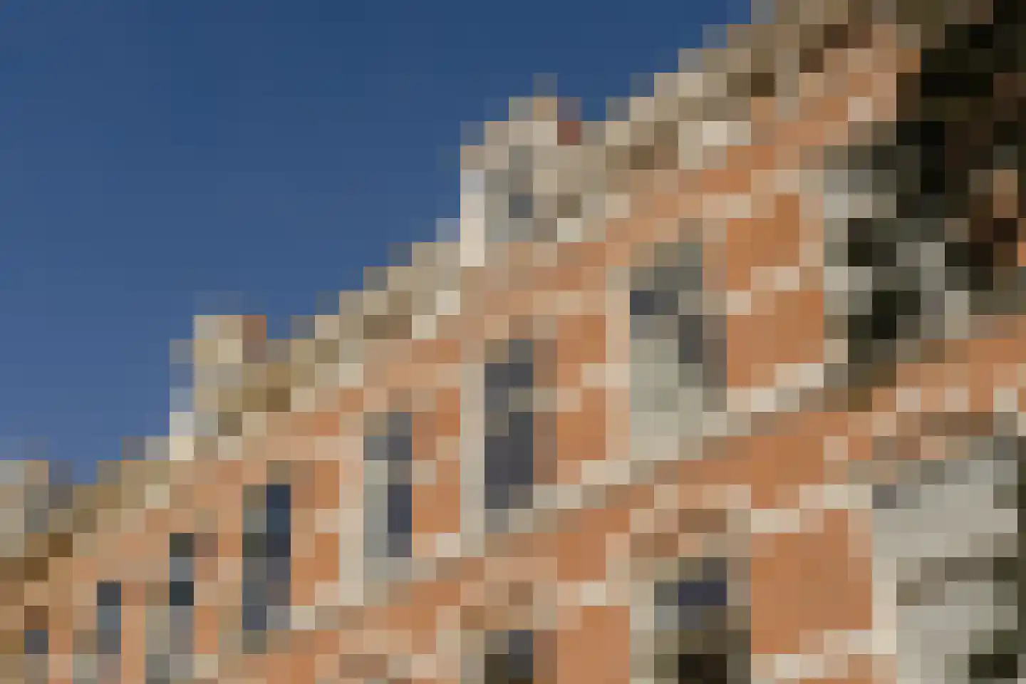 Obrechtstraat 185 Den Haag foto 3