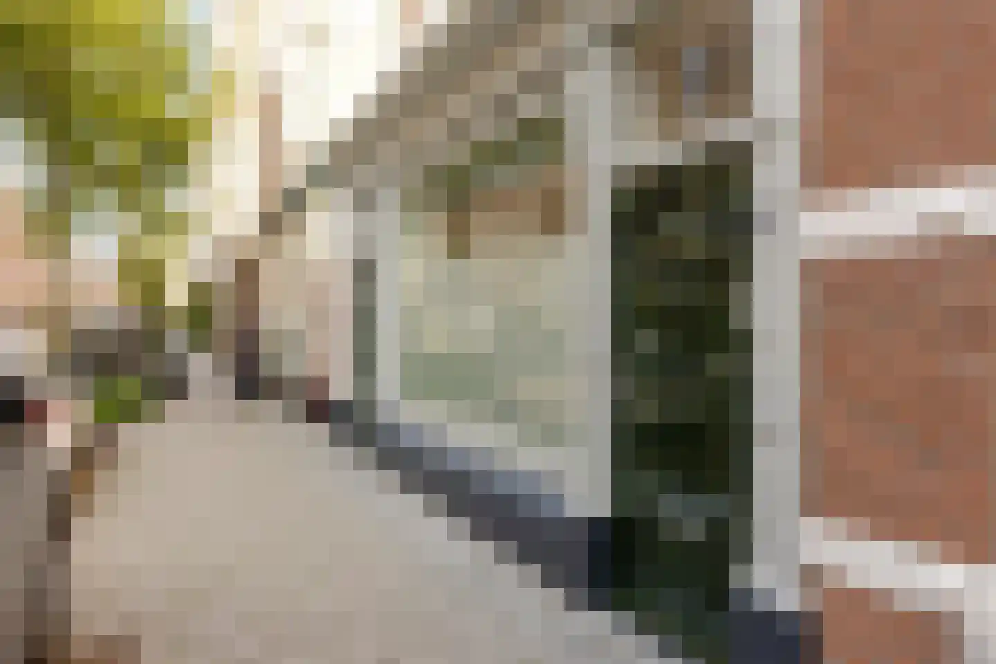 Obrechtstraat 185 Den Haag thumbnail 7