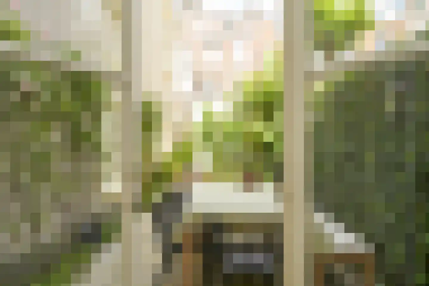 Obrechtstraat 193 Den Haag thumbnail 21