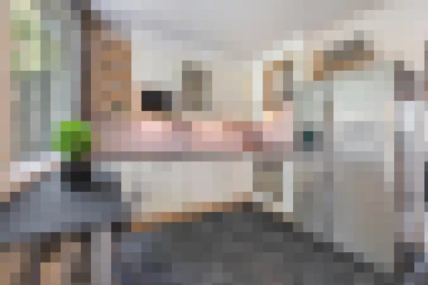 Obrechtstraat 2 Tilburg thumbnail 30