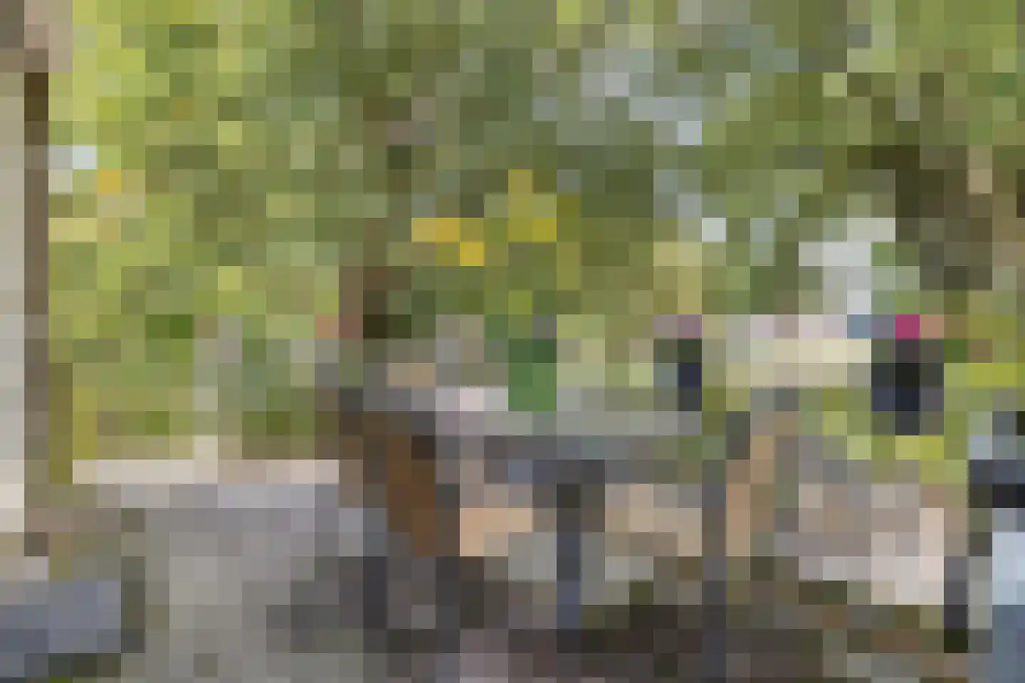 Obrechtstraat 2 Tilburg thumbnail 34
