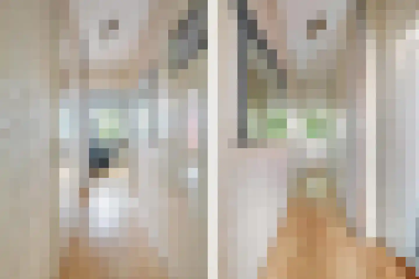 Obrechtstraat 2 Tilburg thumbnail 36