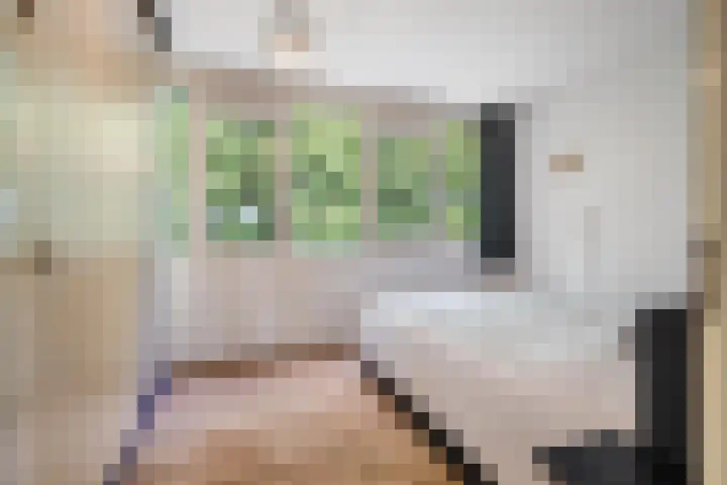 Obrechtstraat 2 Tilburg thumbnail 37