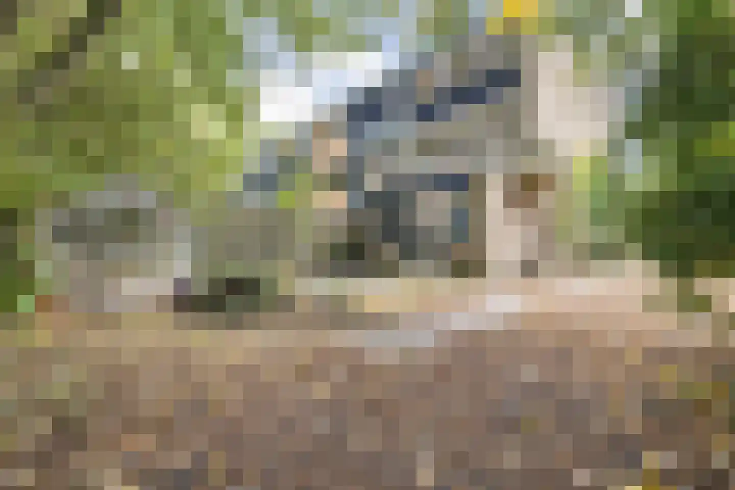 Obrechtstraat 2 Tilburg thumbnail 58