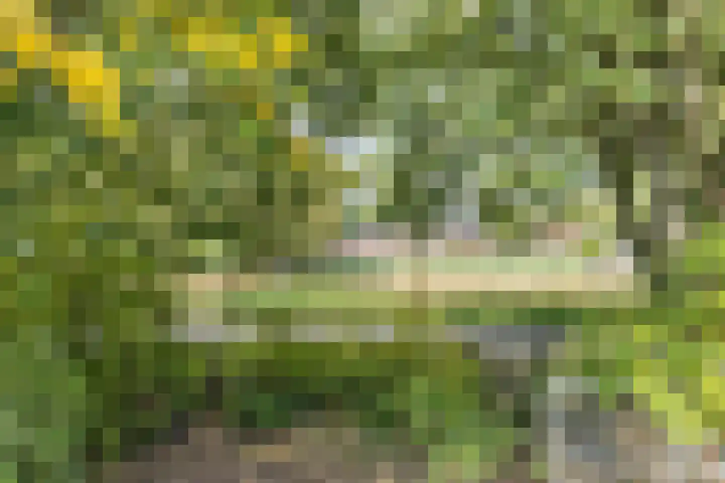 Obrechtstraat 2 Tilburg thumbnail 69