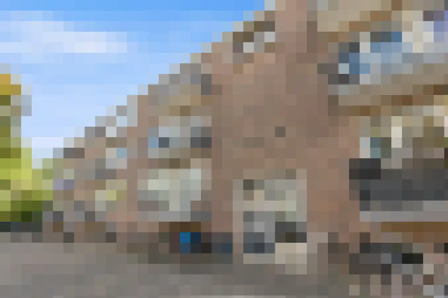 Obrechtstraat 20 Leiden thumbnail 5