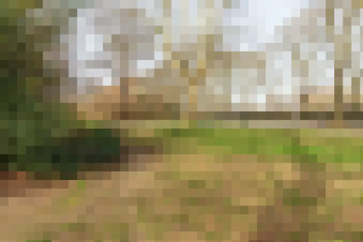 Obrechtstraat 20 Tilburg thumbnail 39
