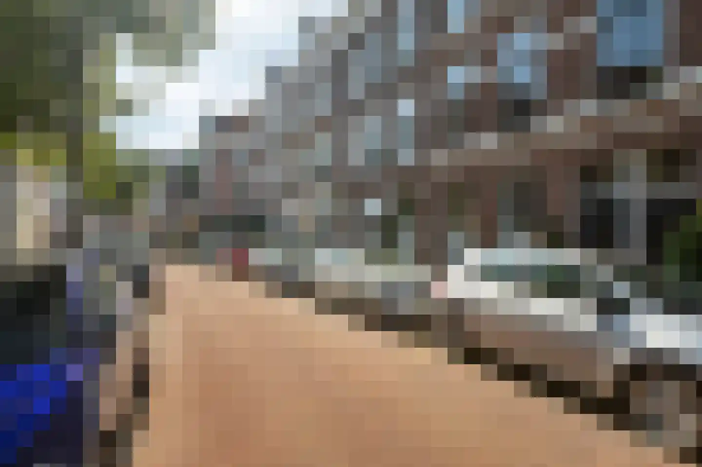 Obrechtstraat 212 Den Haag thumbnail 30