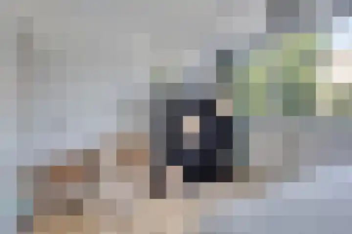 Obrechtstraat 217 Zwolle thumbnail 24