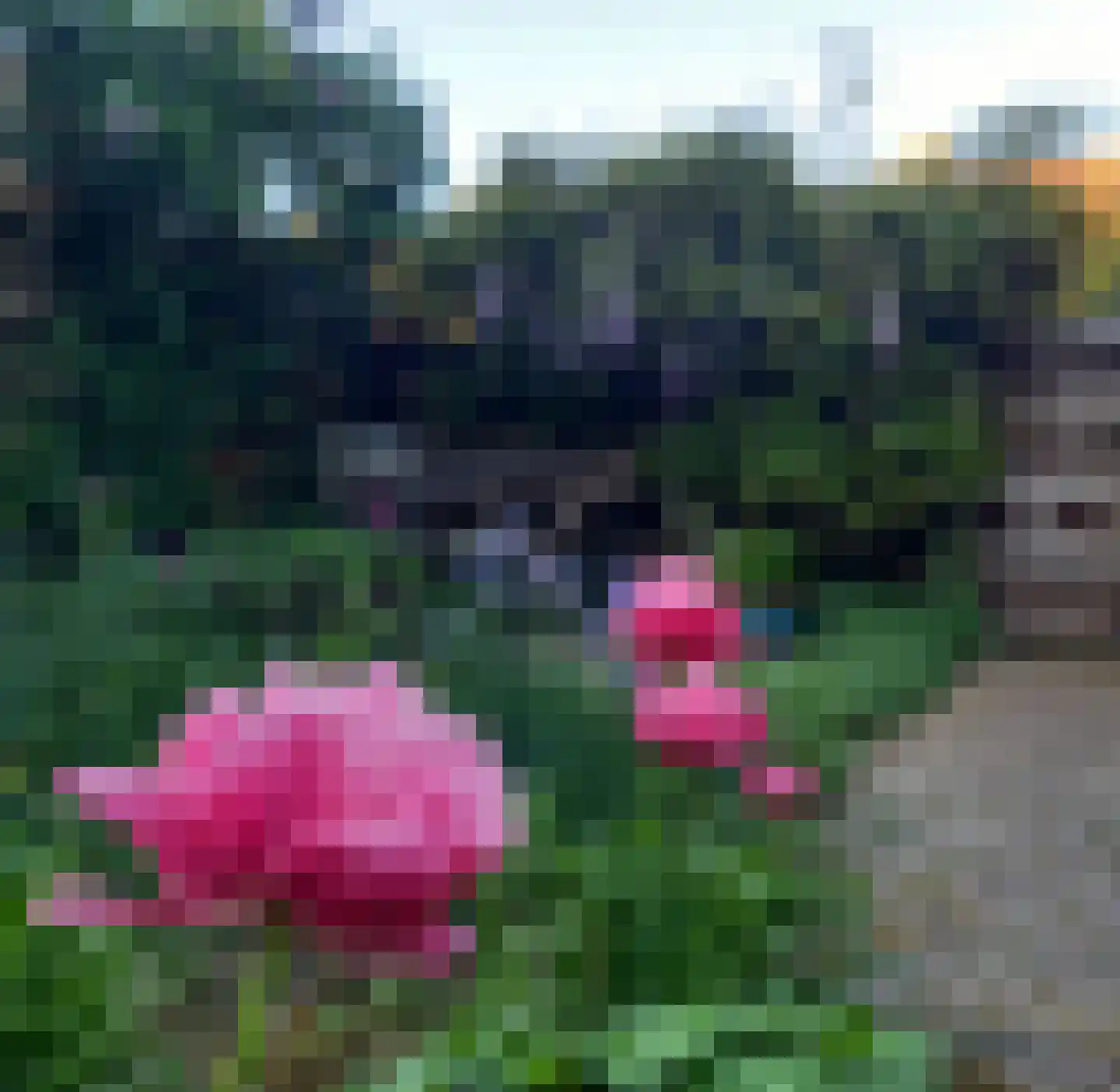 Obrechtstraat 22 Arnhem thumbnail 17
