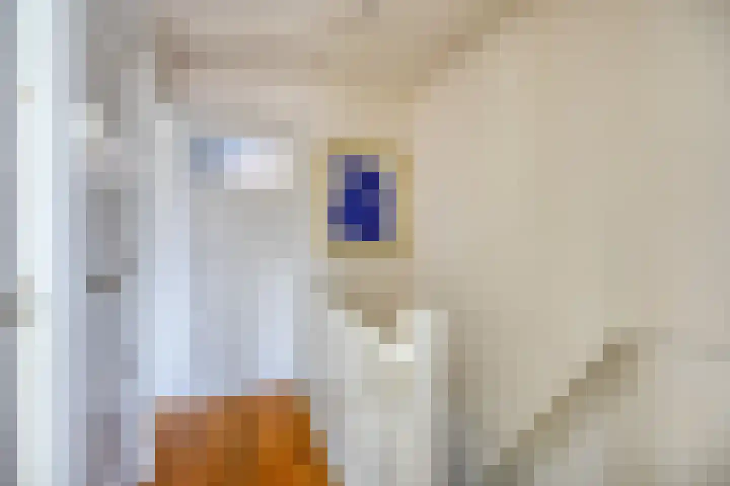 Obrechtstraat 22 Arnhem thumbnail 23