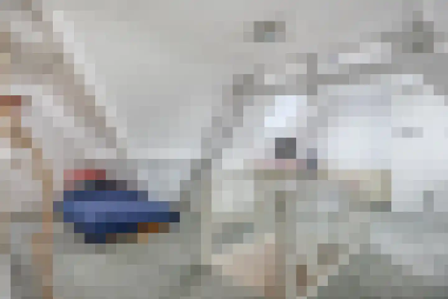 Obrechtstraat 22 Arnhem thumbnail 31