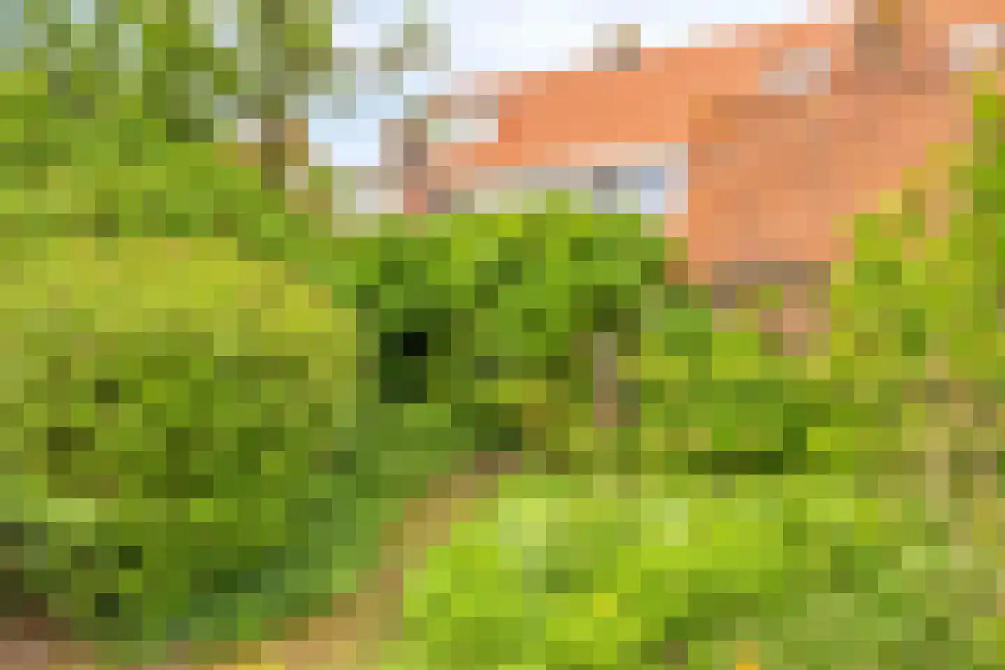 Obrechtstraat 22 Arnhem thumbnail 39