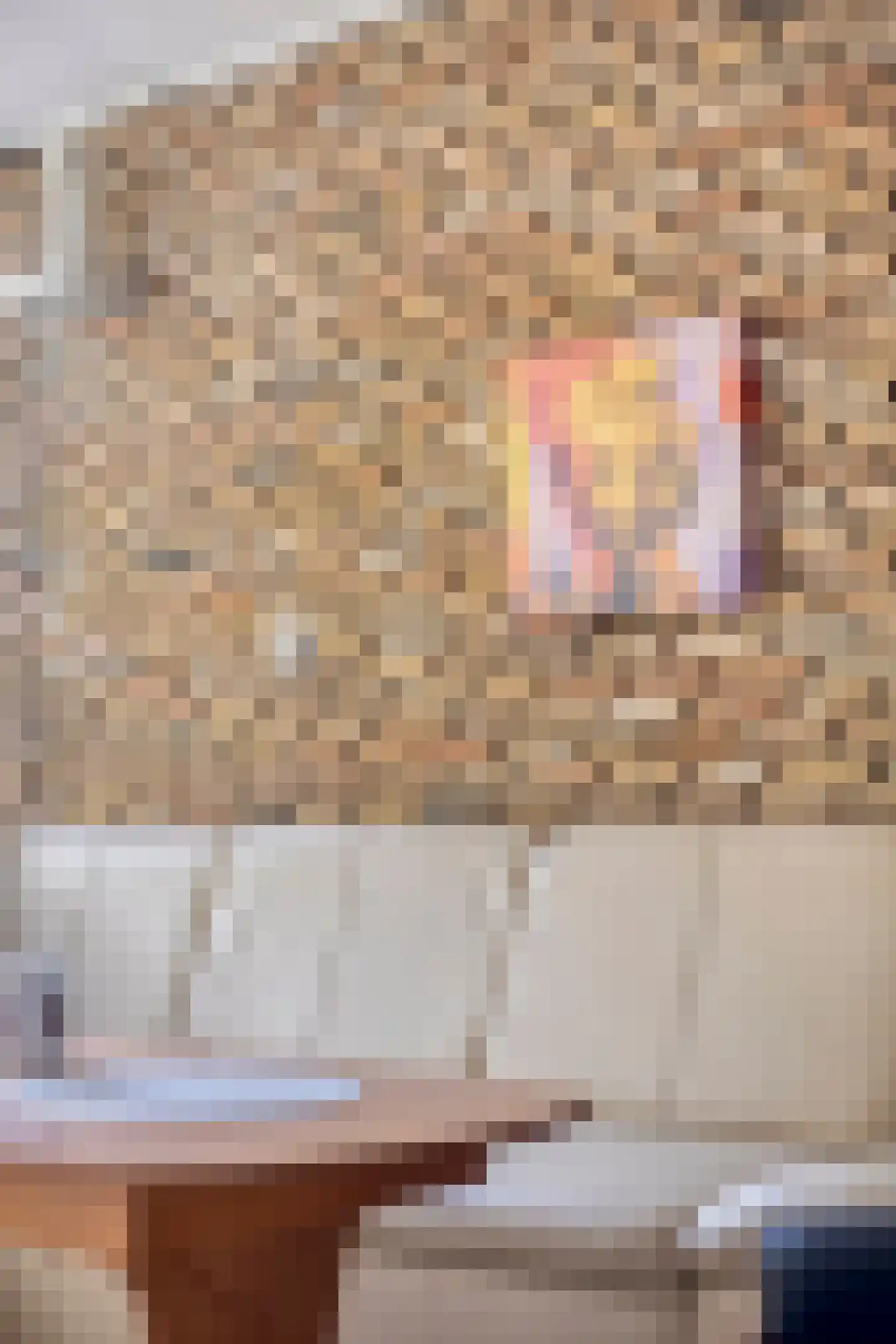 Obrechtstraat 22 Tilburg thumbnail 10