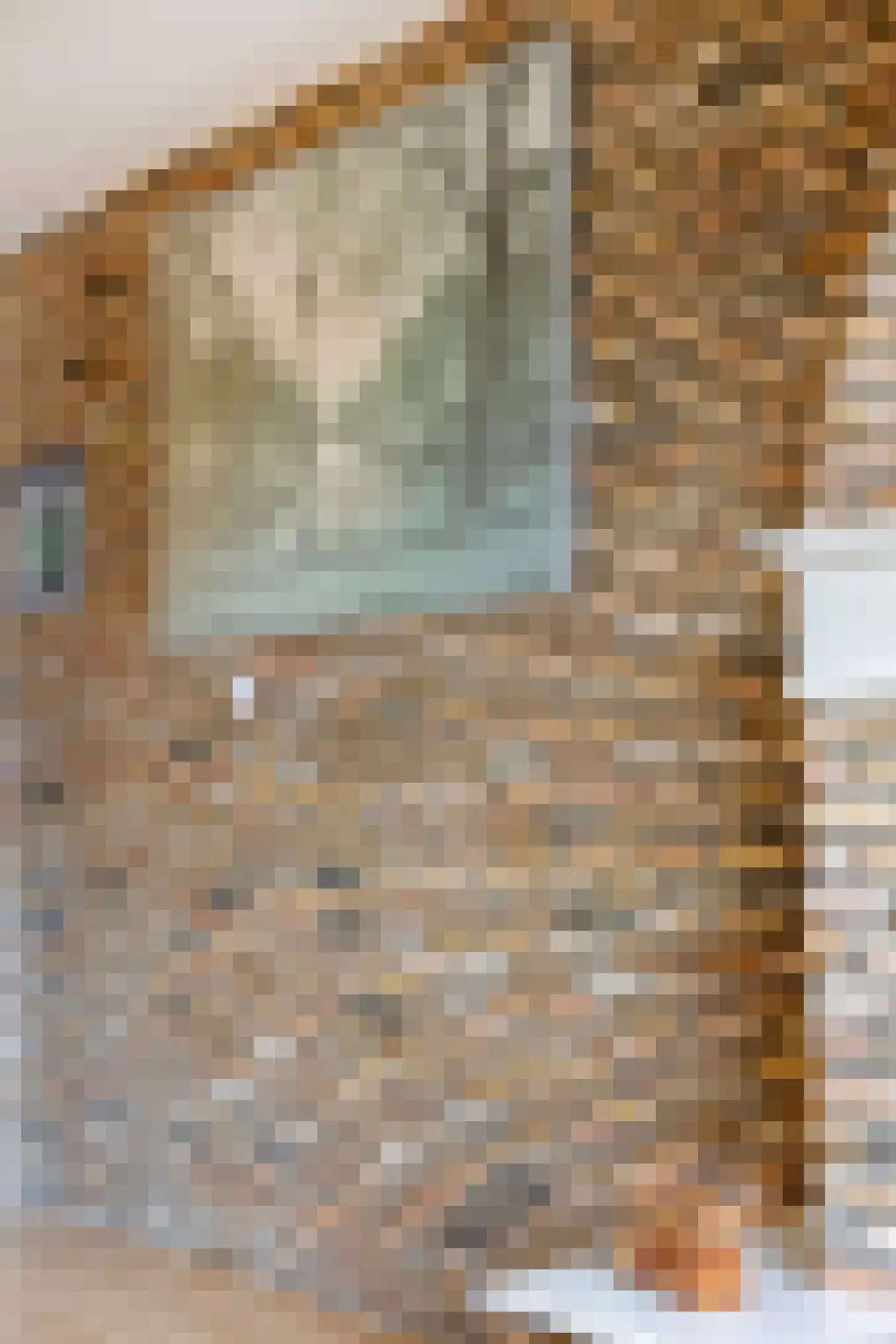 Obrechtstraat 22 Tilburg thumbnail 12