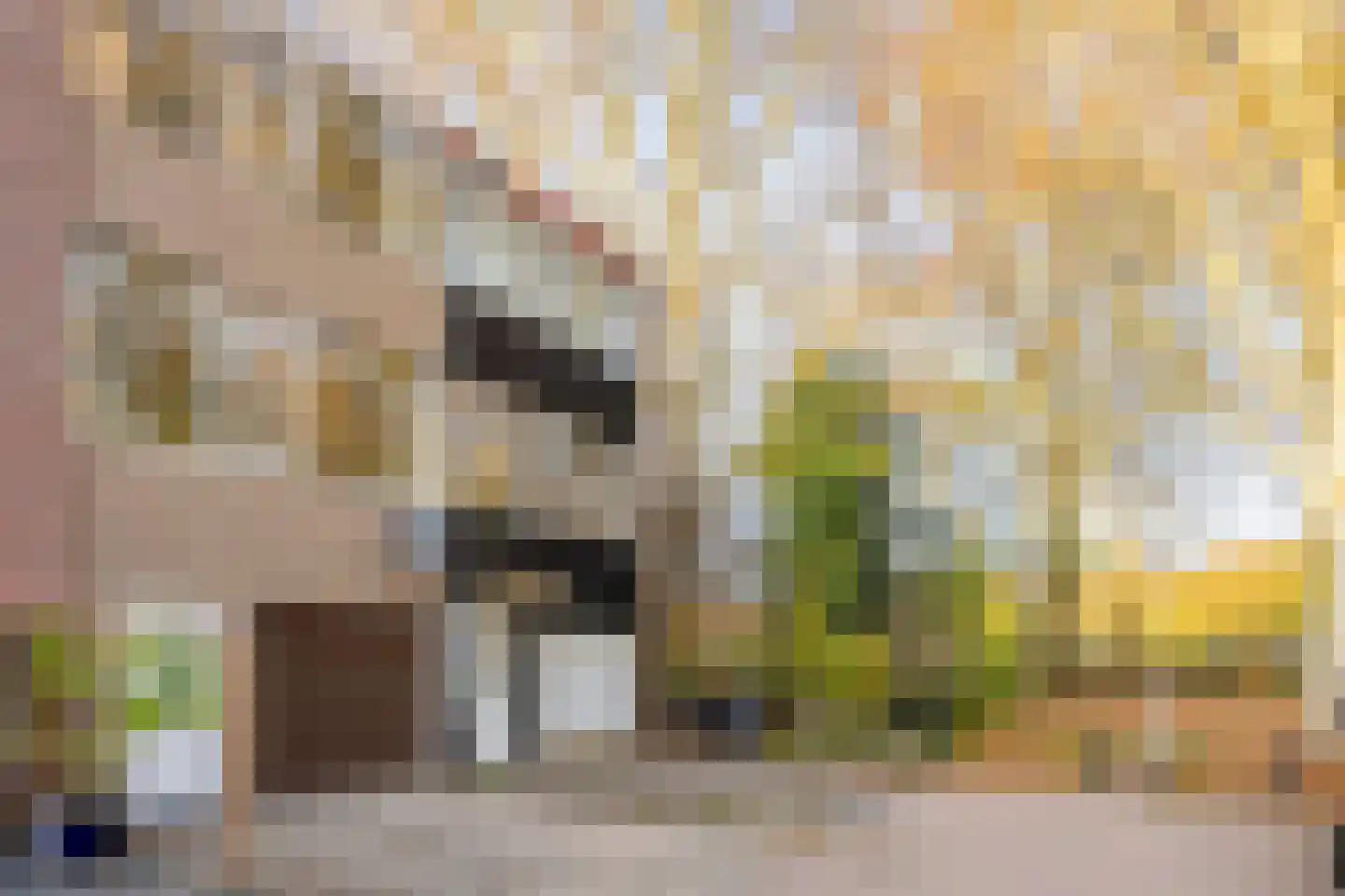 Obrechtstraat 22 Tilburg thumbnail 43