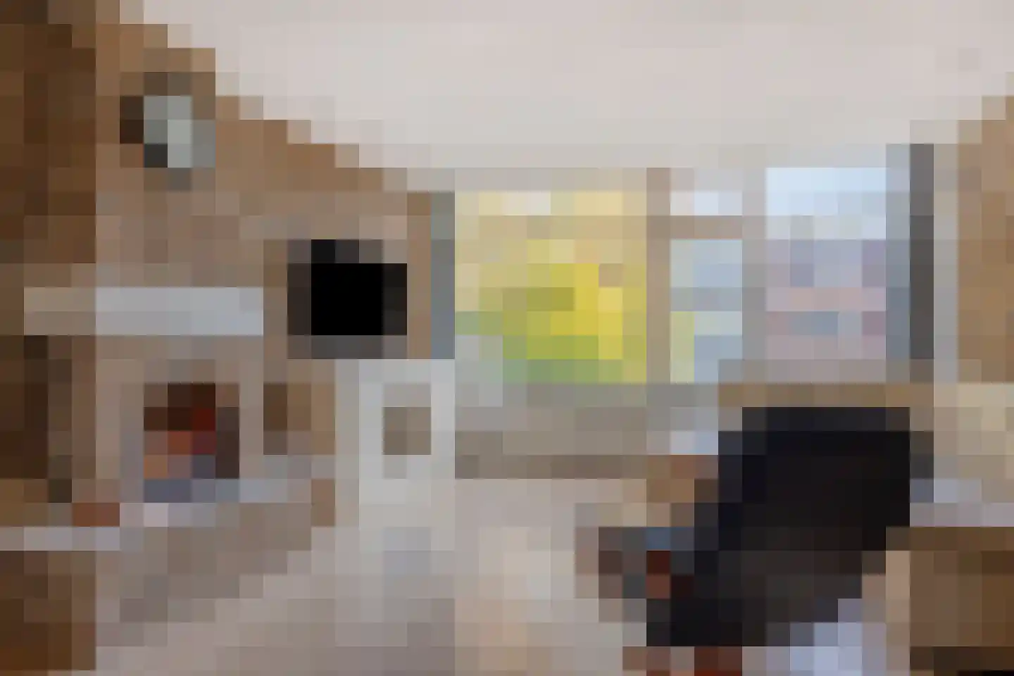 Obrechtstraat 22 Tilburg thumbnail 7