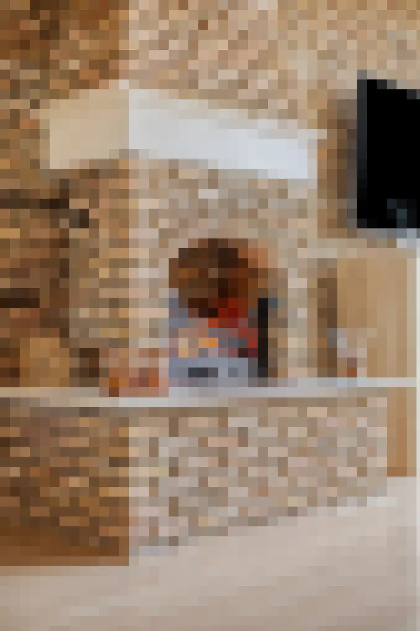 Obrechtstraat 22 Tilburg thumbnail 9