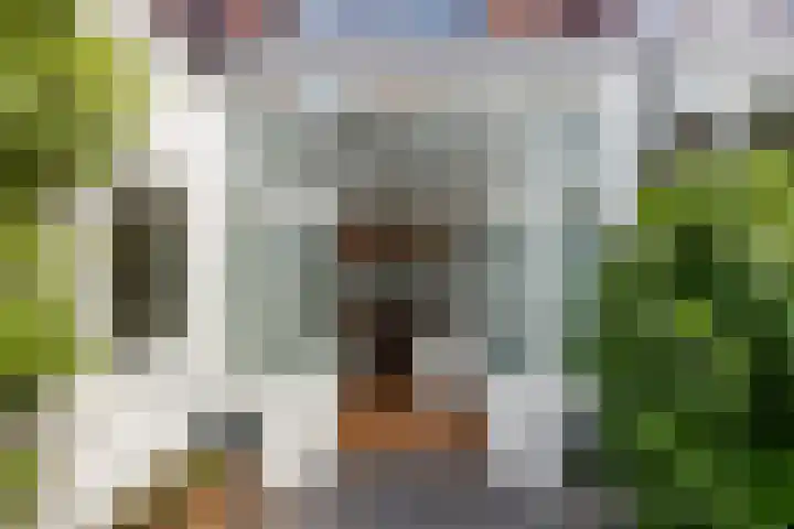 Obrechtstraat 22 Utrecht thumbnail 11