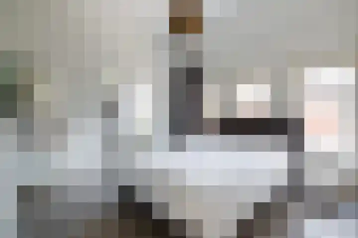 Obrechtstraat 22 Utrecht thumbnail 20