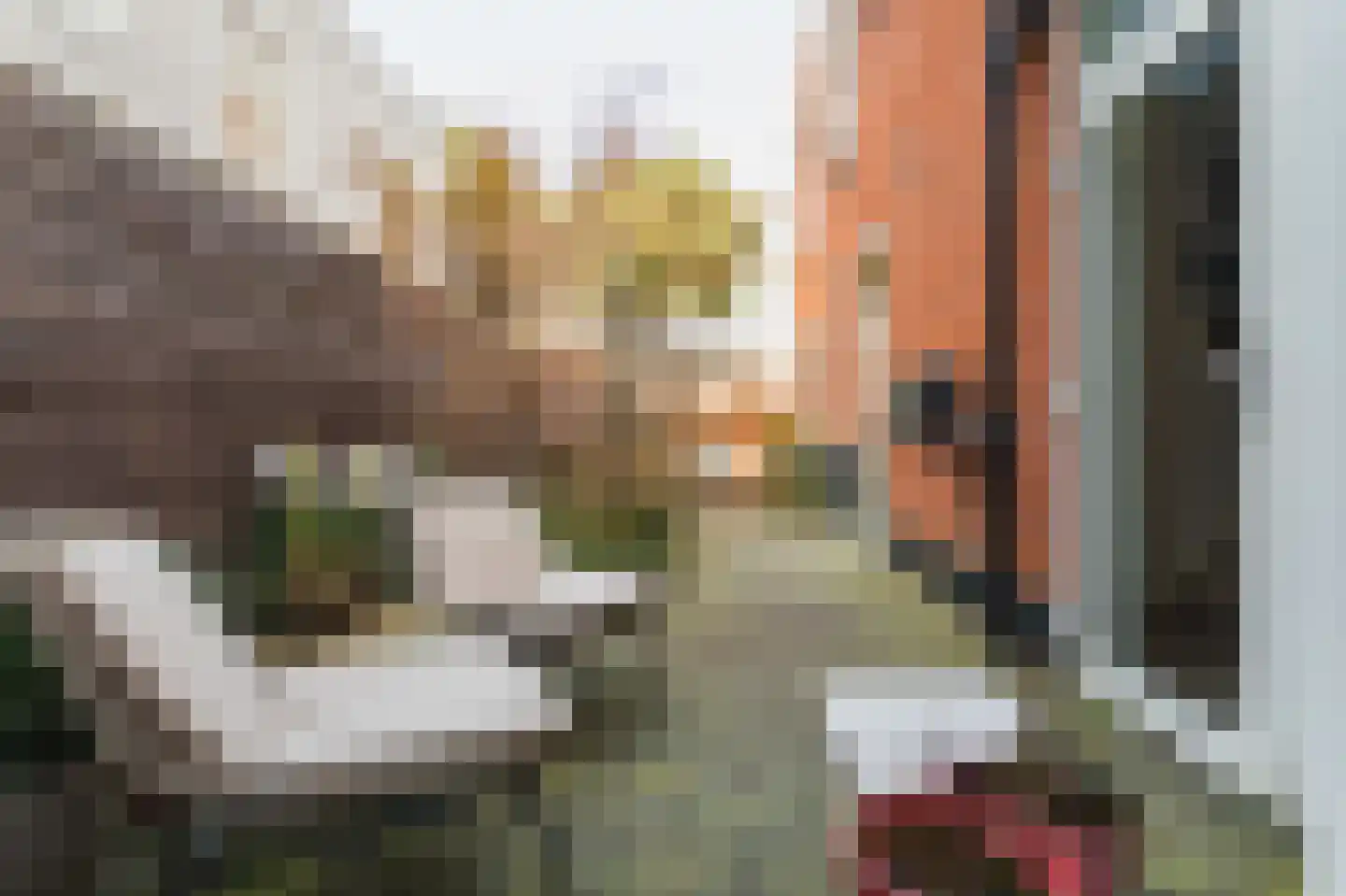 Obrechtstraat 223 Den Haag thumbnail 19