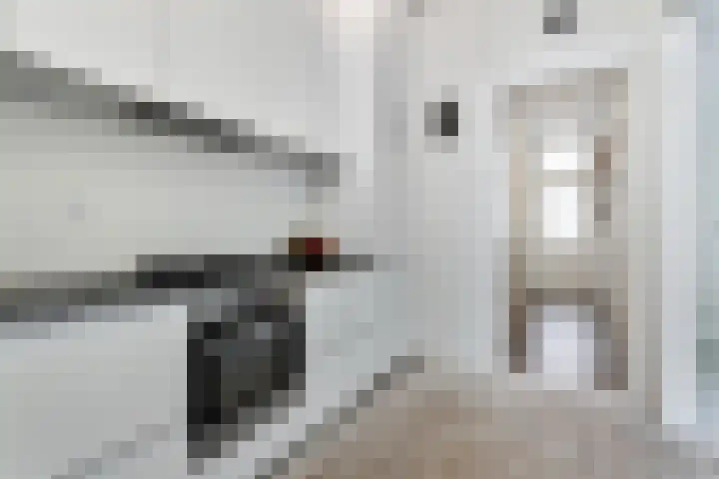 Obrechtstraat 231 Den Haag thumbnail 5