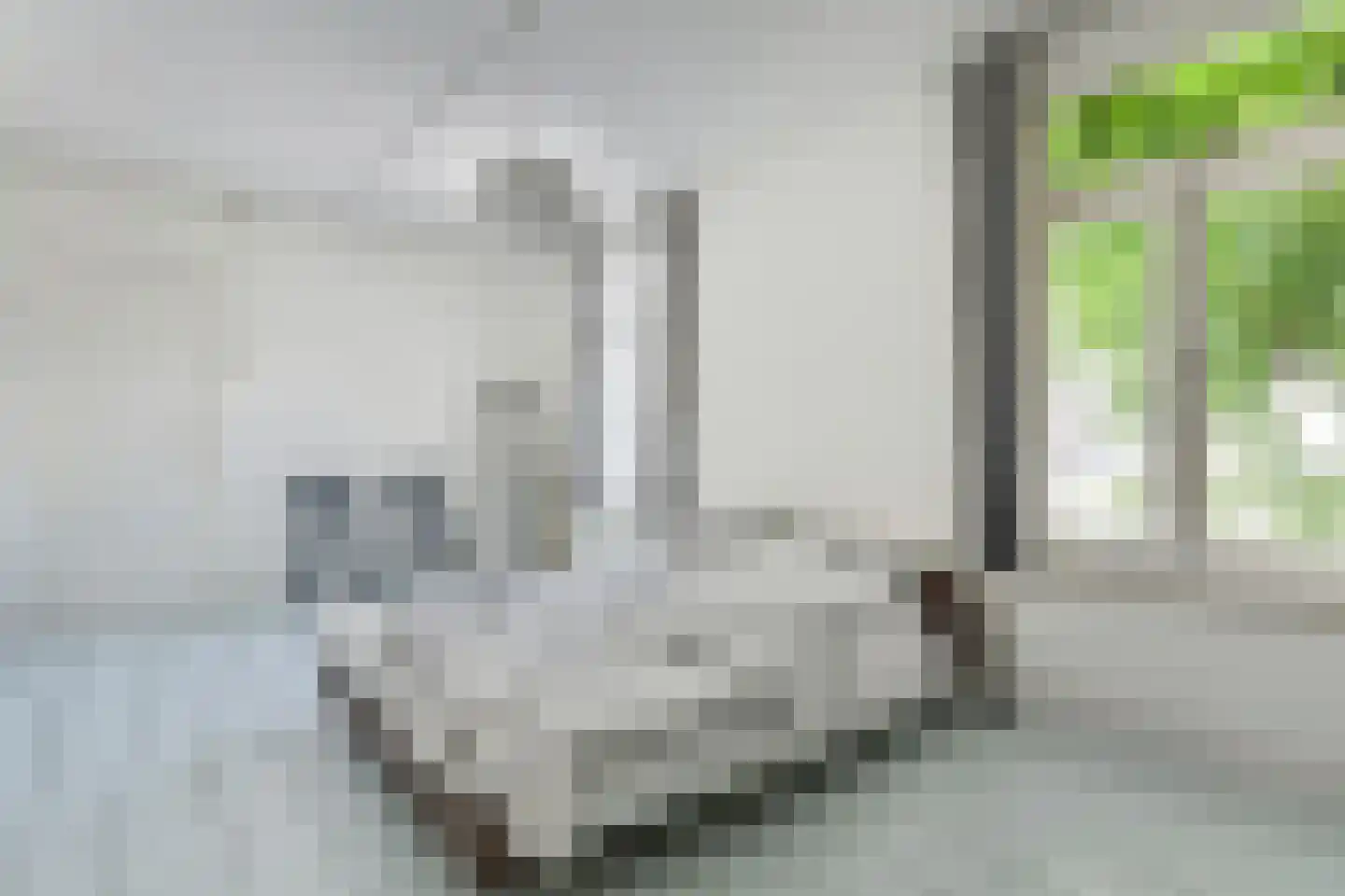Obrechtstraat 231 Den Haag thumbnail 6