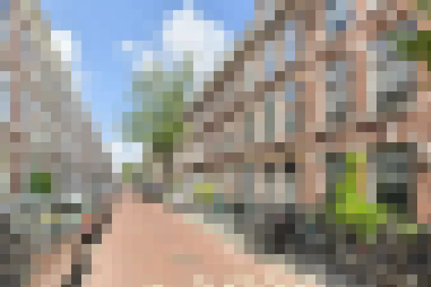 Obrechtstraat 231 Den Haag thumbnail 8