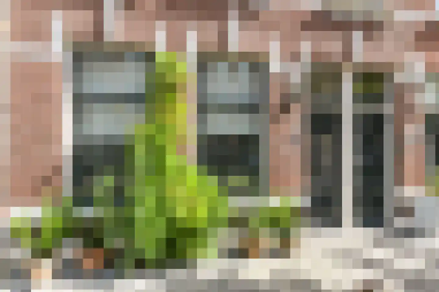 Obrechtstraat 231 Den Haag thumbnail 9