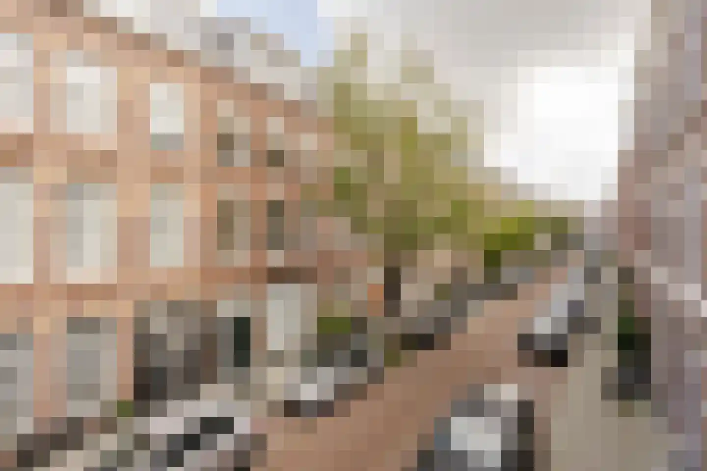 Obrechtstraat 243 Den Haag thumbnail 27