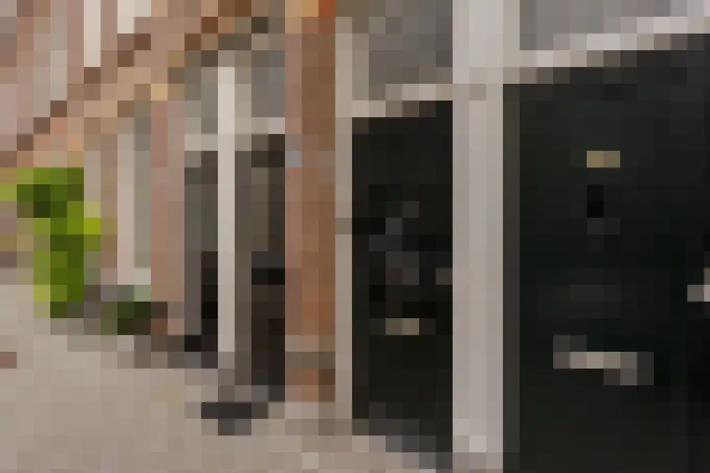 Obrechtstraat 243 Den Haag thumbnail 4