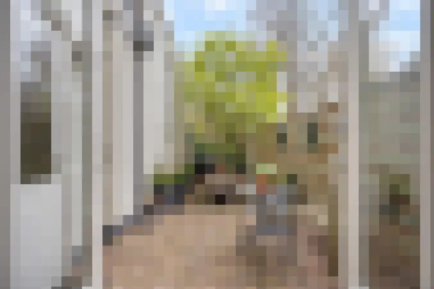 Obrechtstraat 248 Den Haag thumbnail 18