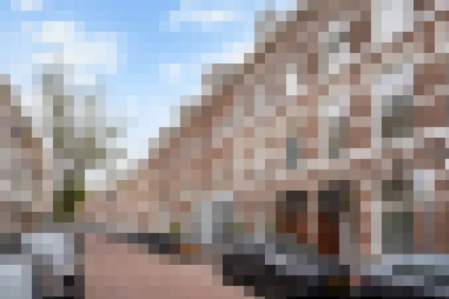 Obrechtstraat 248 Den Haag thumbnail 47