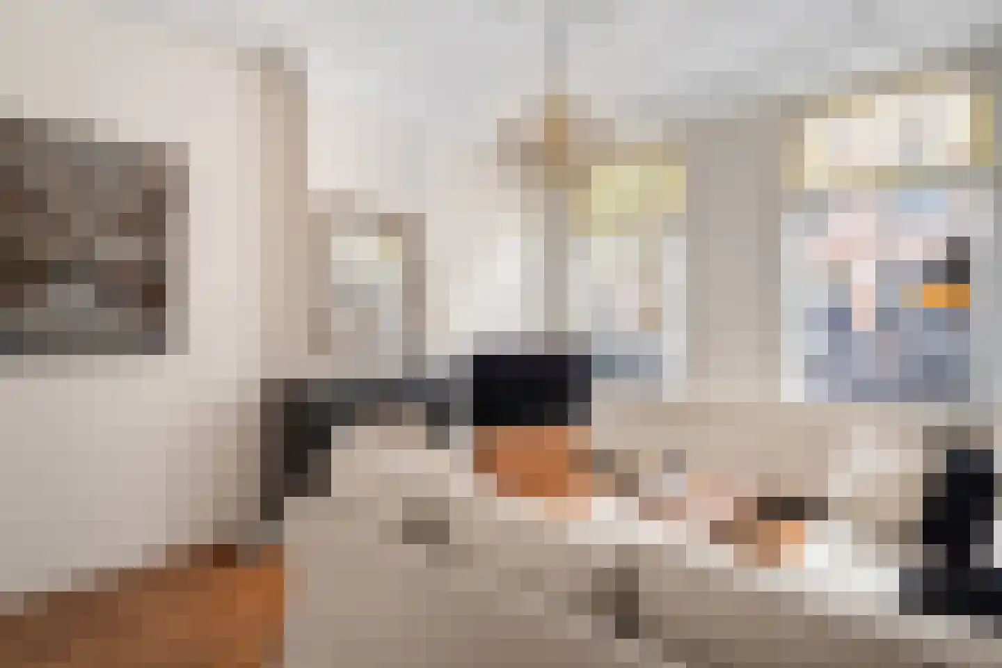 Obrechtstraat 248 Den Haag thumbnail 7