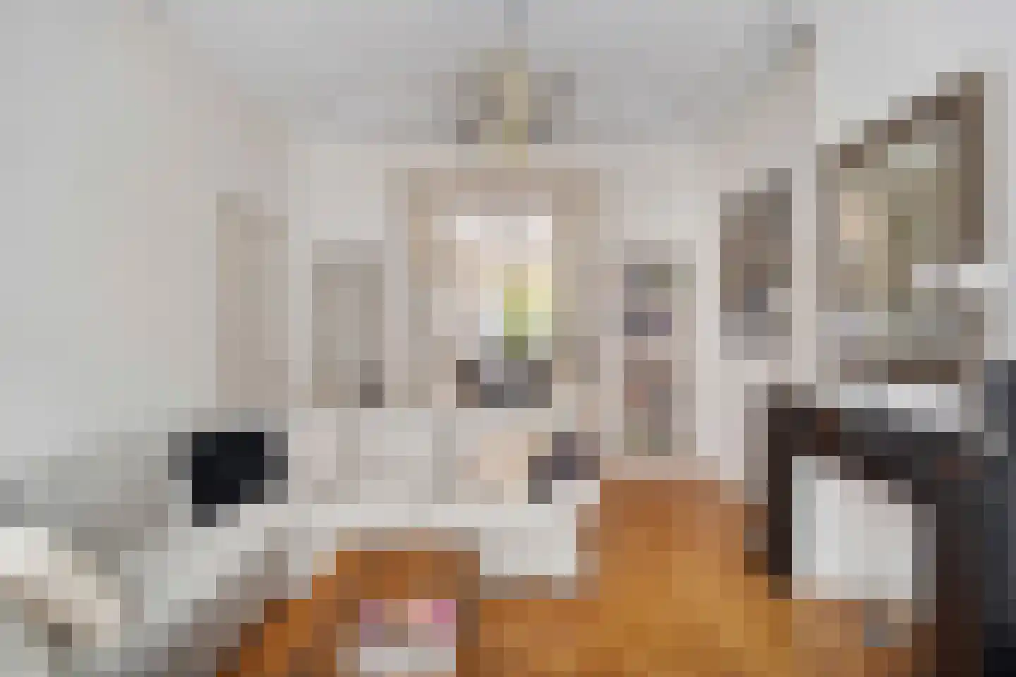Obrechtstraat 248 Den Haag thumbnail 9