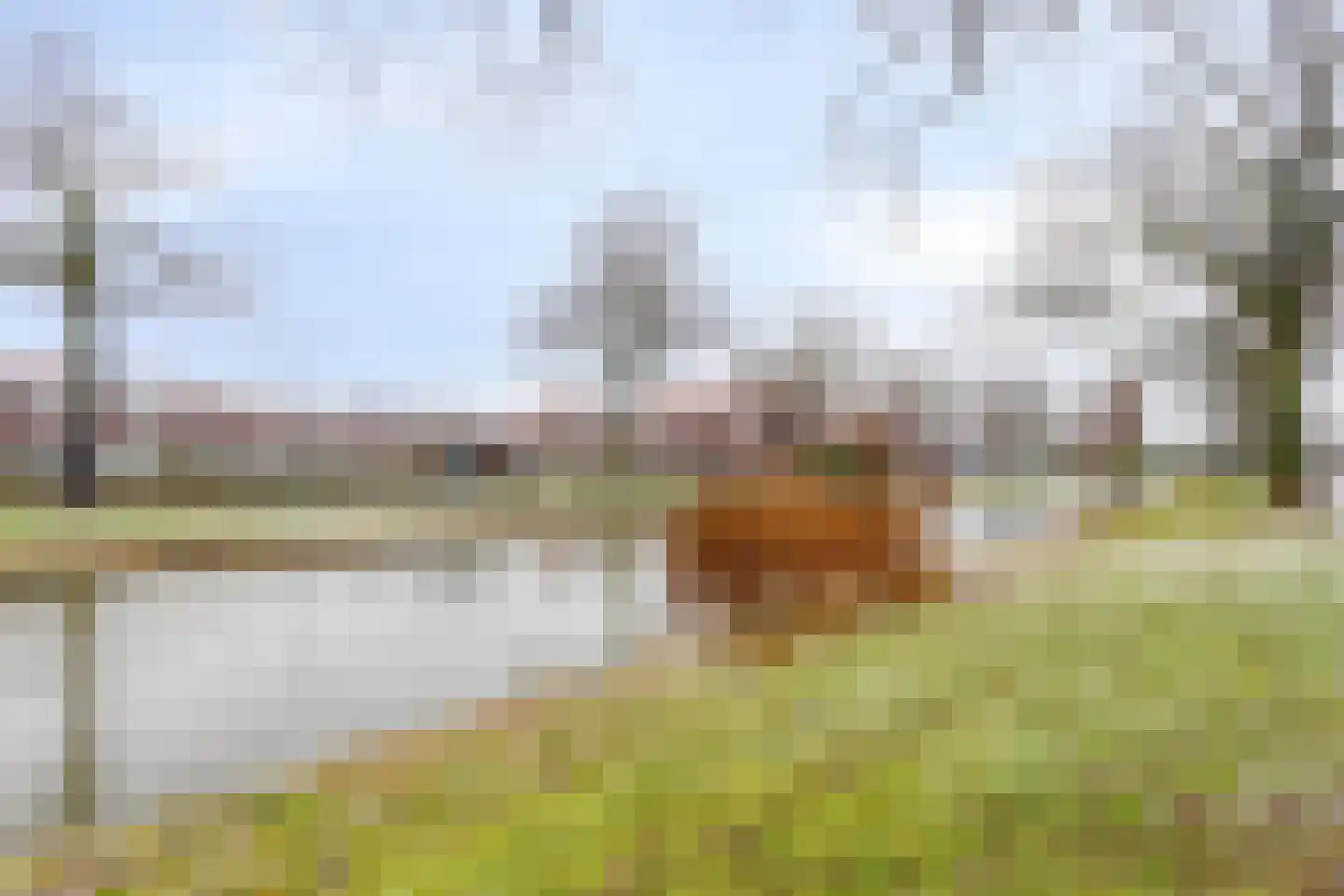 Obrechtstraat 26 Dordrecht thumbnail 31