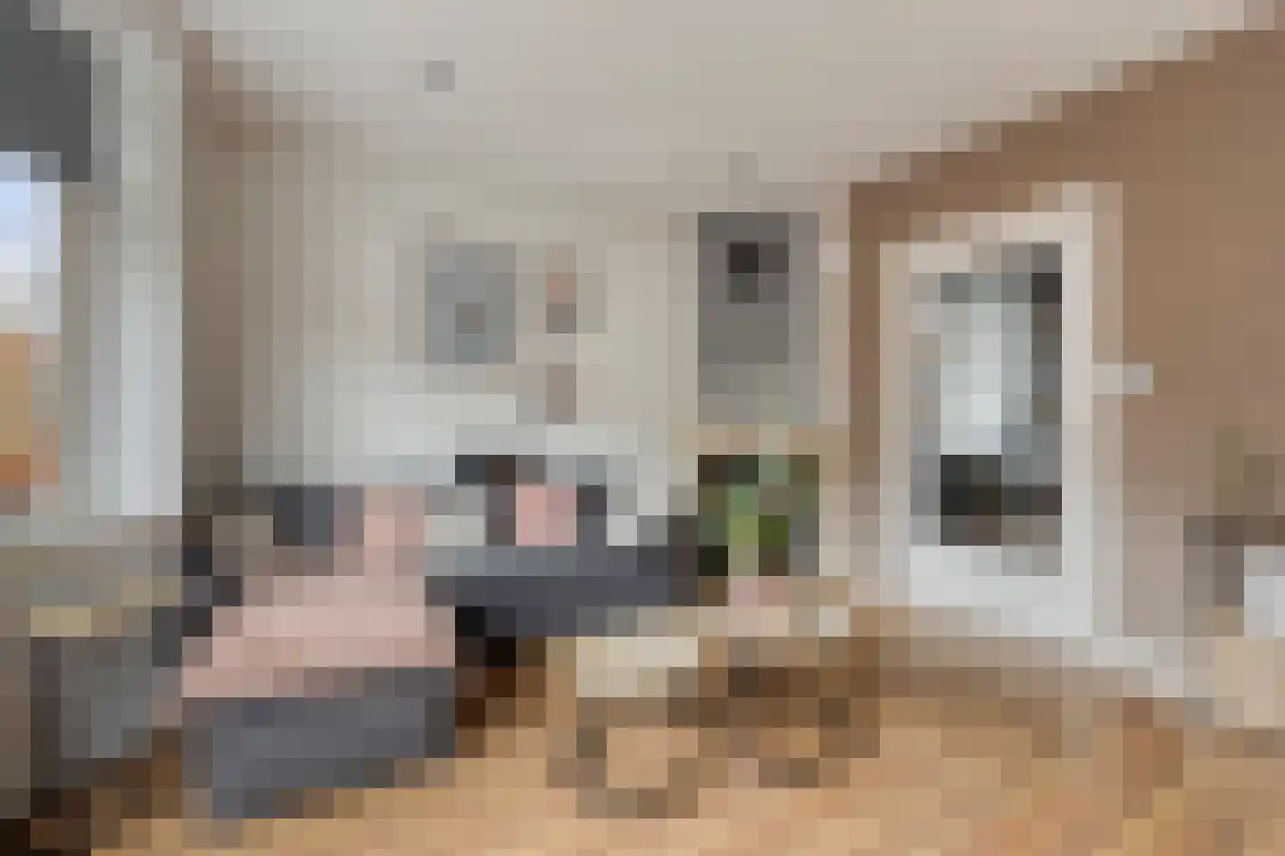 Obrechtstraat 26 Dordrecht thumbnail 8