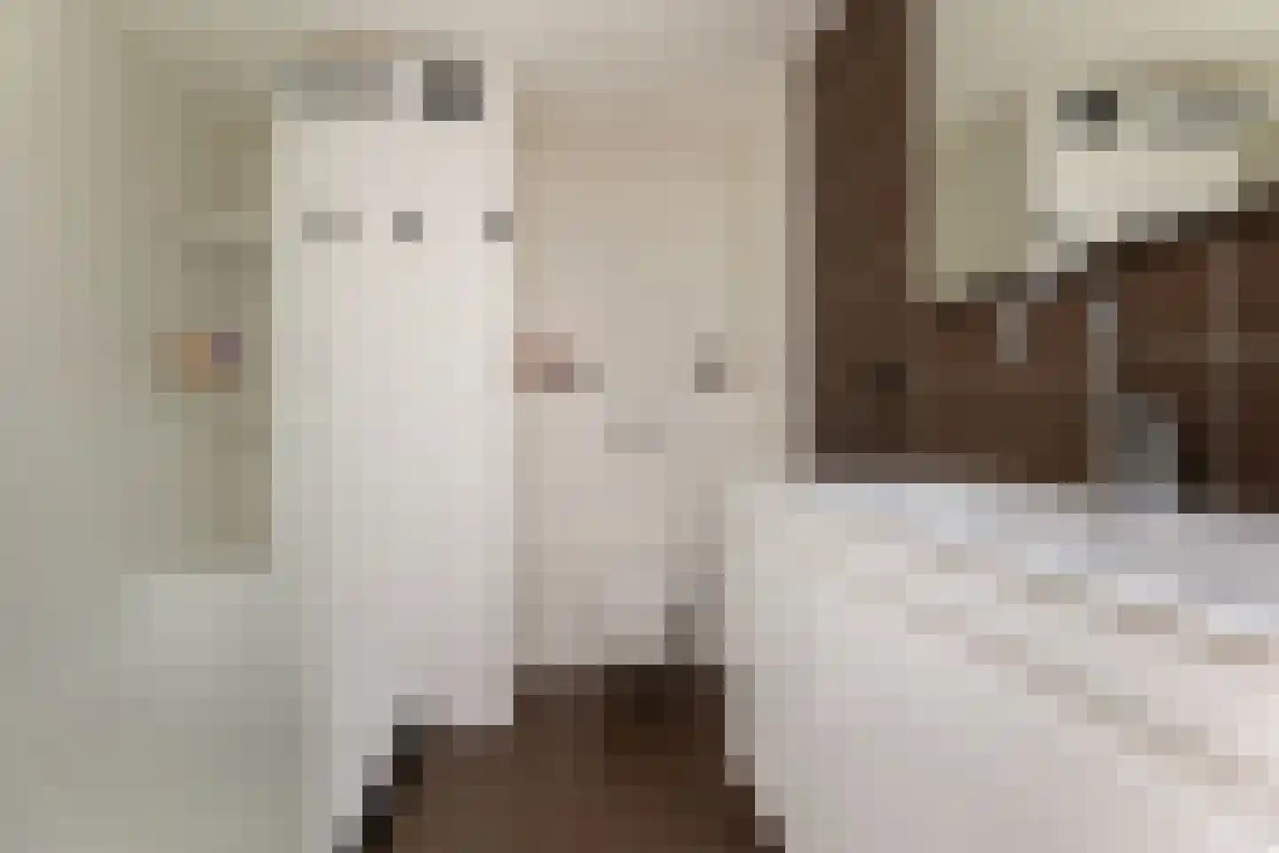 Obrechtstraat 265 Zwolle thumbnail 33