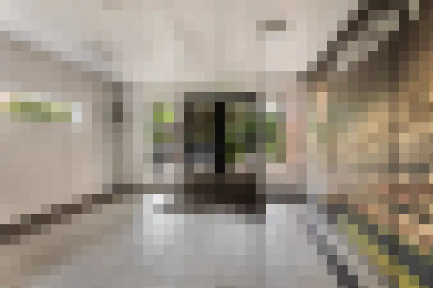 Obrechtstraat 265 Zwolle thumbnail 8