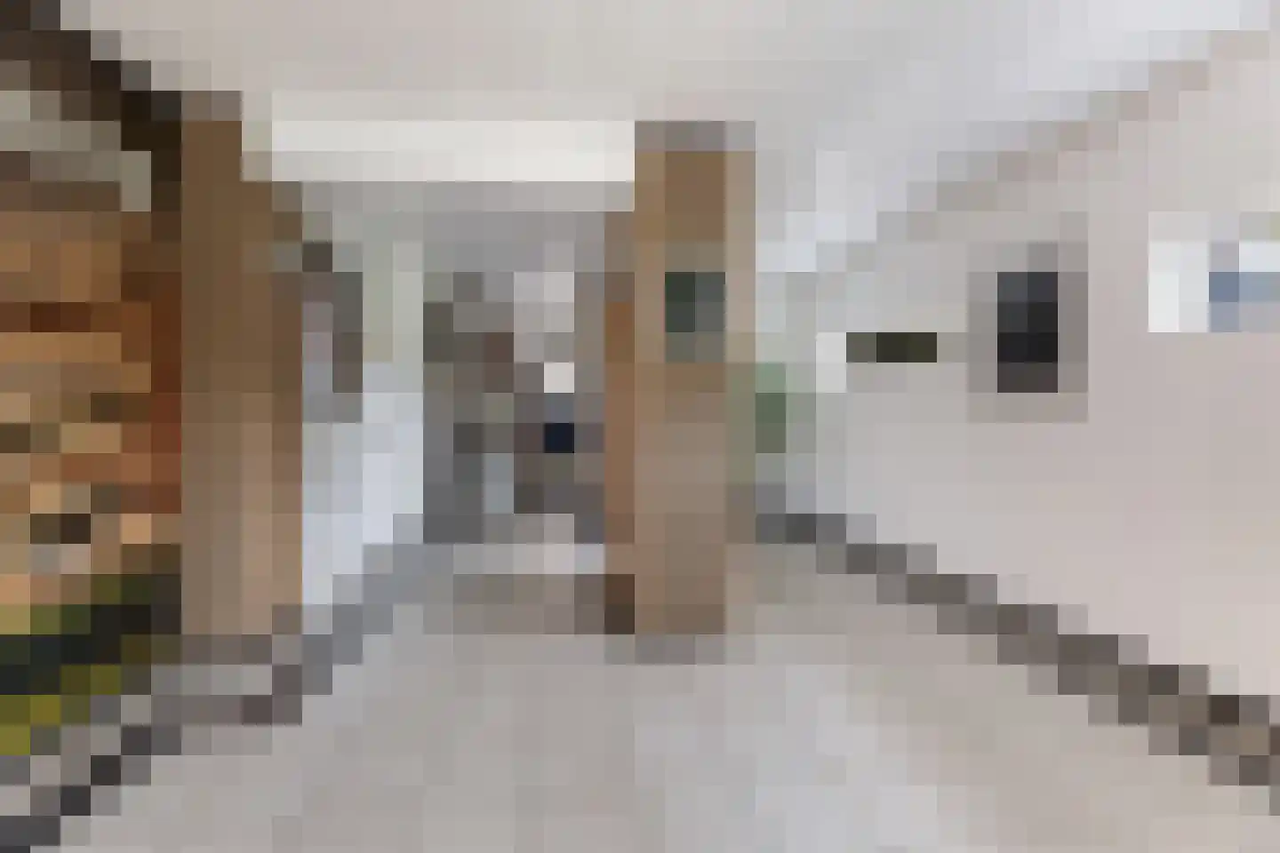 Obrechtstraat 265 Zwolle thumbnail 9