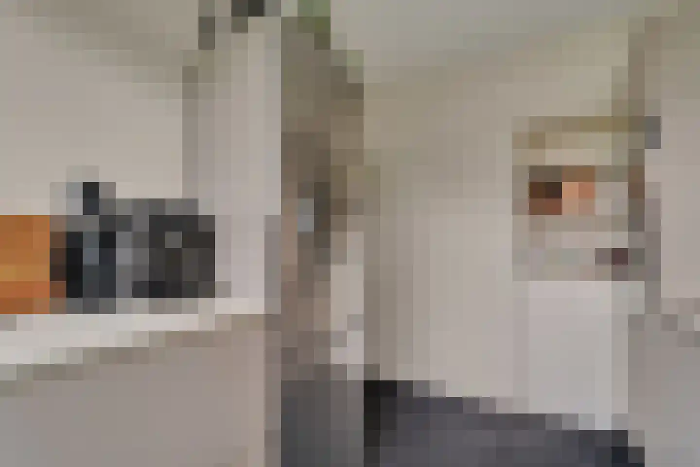 Obrechtstraat 281 Zwolle thumbnail 11