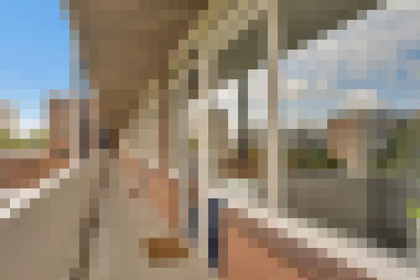 Obrechtstraat 281 Zwolle thumbnail 5