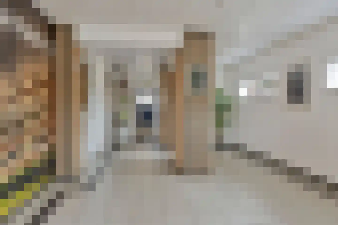 Obrechtstraat 287 Zwolle thumbnail 7