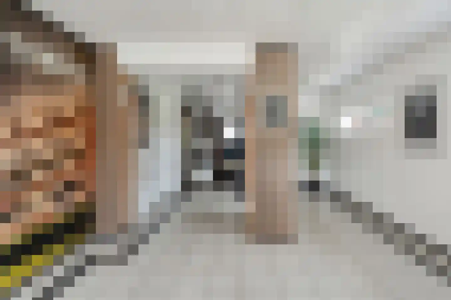 Obrechtstraat 289 Zwolle thumbnail 10