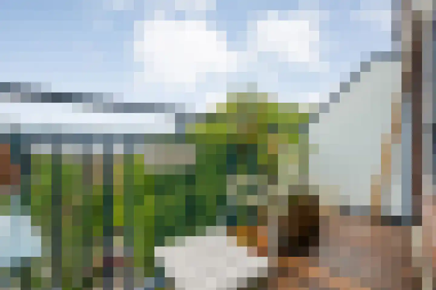 Obrechtstraat 289 Zwolle thumbnail 35