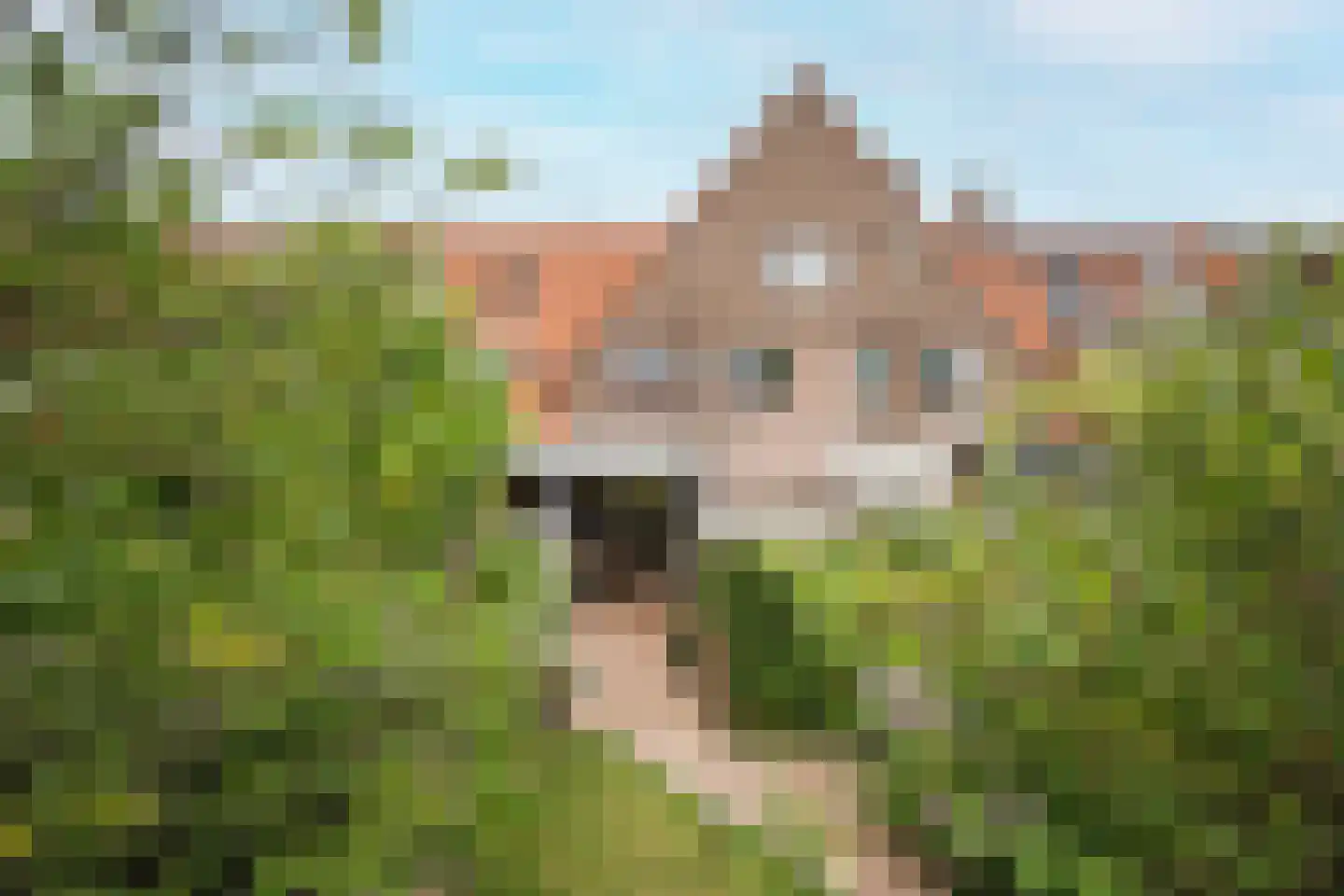 Obrechtstraat 29 Arnhem thumbnail 61