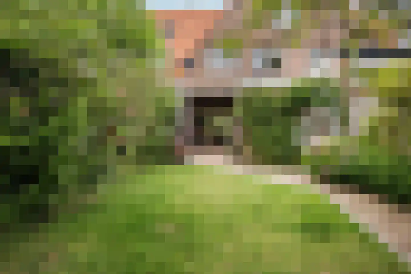 Obrechtstraat 29 Arnhem thumbnail 64