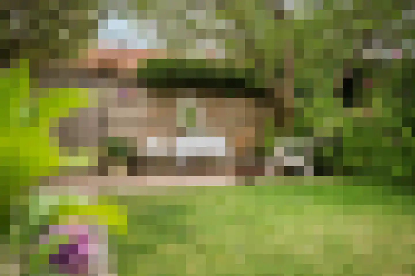 Obrechtstraat 29 Arnhem thumbnail 66