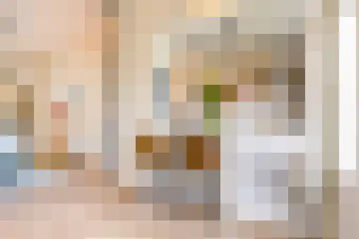 Obrechtstraat 29 Utrecht thumbnail 17