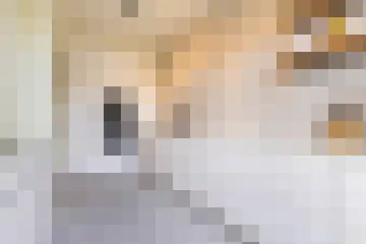 Obrechtstraat 29 Utrecht thumbnail 18